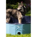 Coolpets Splash Dog Pool - ø 120 x 30 cm