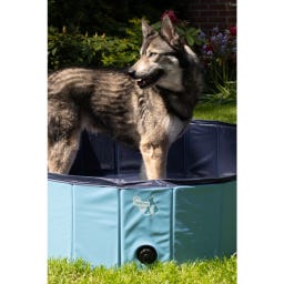 Coolpets Splash Dog Pool - ø 120 x 30 cm