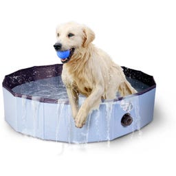 Coolpets Splash Dog Pool - ø 120 x 30 cm