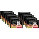 Selektion in Sauce Huhn&Gemüse, Rind&Karotten, 4x100g - 6 + 7 Gratis