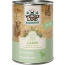 Hundenassfutter Puppy Lamm mit Kürbis & Reis