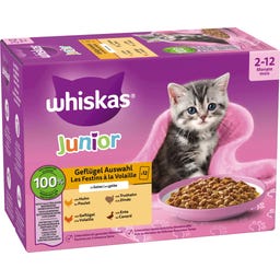 Frischebeutel 12 Pack Geflügel Auswahl in Gelee Junior - 1.020 g