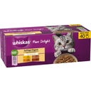 Megapack 40 x 85 g - Pure Delight 'Geflügel Ragout in Gelee' - 3.400 g