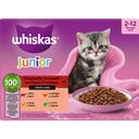 Multipack 12x85g Klassische Auswahl in Sauce Junior - 1.020 g