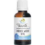 Marmot Oil
