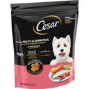 Cesar Droogvoer Kip & Zalm