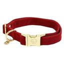 Kentucky Dogwear Hundehalsband 