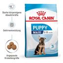 Royal Canin Pasja hrana Maxi Puppy - 4 kg
