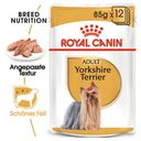 Pasja hrana Yorkshire Terrier Adult Mousse, 12 x 85 g - 1.020 g