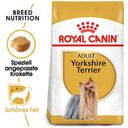 Royal Canin Pasja hrana Yorkshire Terrier Adult - 500 g
