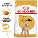 Royal Canin Poodle Adult - 500 g
