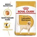 Royal Canin Labrador Retriever Adult - 3 kg