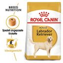 ROYAL CANIN Labrador Retriever Adult - 3 kg