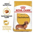 Royal Canin Dachshund Adult - 500 g