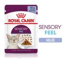Royal Canin Sensory Feel in Gelee 12x85g - 1.020 g
