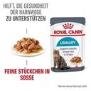 Royal Canin Urinary Care in Soße 12x85g - 1.020 g