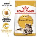 Royal Canin Maine Coon Adult - 400 g