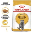 Royal Canin British Shorthair Adult - 400 g