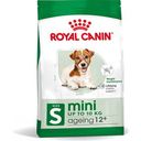 Royal Canin Mini Ageing12+ - 800 g